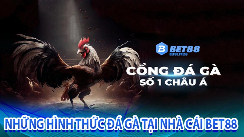 Những hình thức đá gà tại nhà cái bet88 