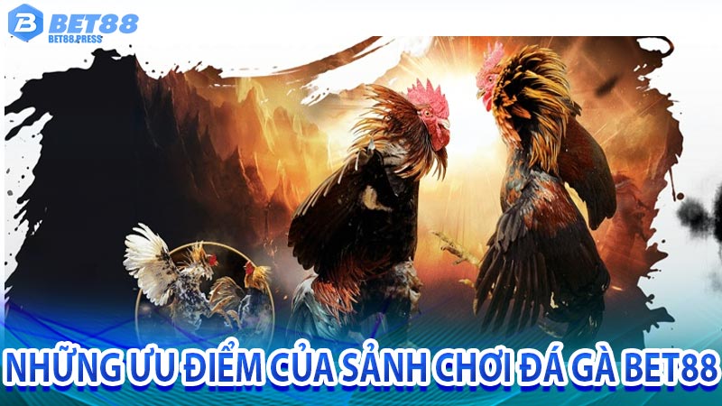 Những ưu điểm của sảnh chơi đá gà trực tuyến tại bet88